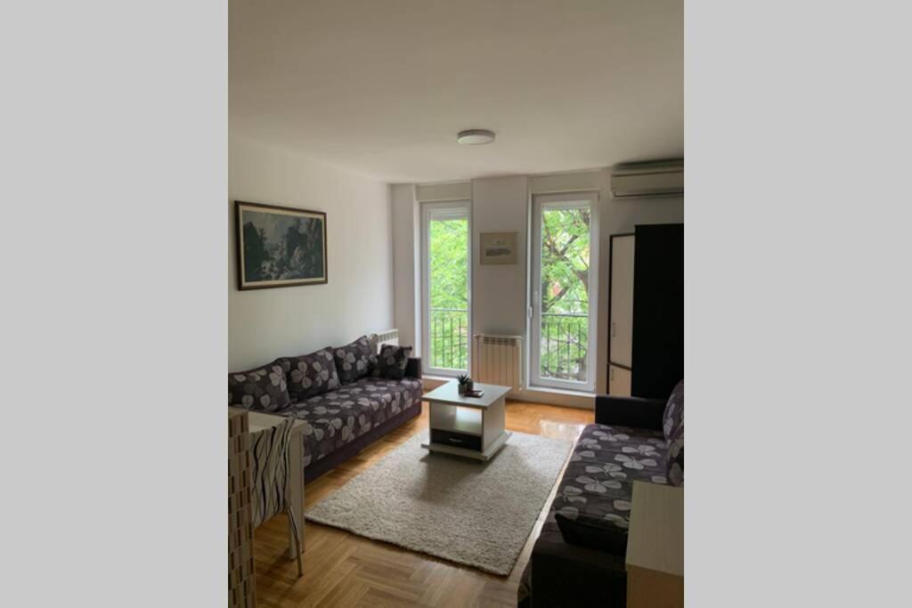 Renovated Cozy Studio 7 At Top Location - Available For Long Term Rentals Novi Sad Buitenkant foto